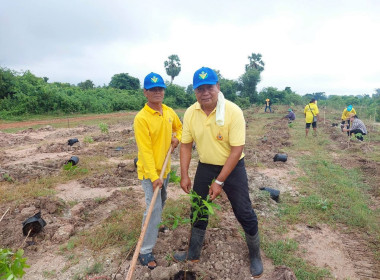 วันที่ 16 สิงหาคม 2568 สหกรณ์การเกษตรทุ่งวัดสิงห์ จำกัด ... พารามิเตอร์รูปภาพ 5