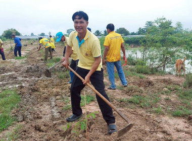 วันที่ 16 สิงหาคม 2568 สหกรณ์การเกษตรทุ่งวัดสิงห์ จำกัด ... พารามิเตอร์รูปภาพ 6