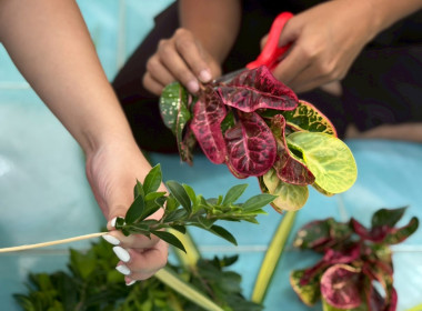 5 พฤศจิกายน 2568 บุคลากรศูนย์ฯ ร่วมกันสืบสานวัฒนธรรมไทย ... พารามิเตอร์รูปภาพ 2