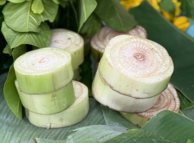 5 พฤศจิกายน 2568 บุคลากรศูนย์ฯ ร่วมกันสืบสานวัฒนธรรมไทย ... พารามิเตอร์รูปภาพ 4