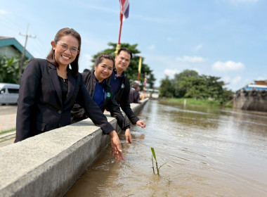 12 พฤศจิกายน 2568 นางสาวมนกรณ์ ยอดใจ ... พารามิเตอร์รูปภาพ 13