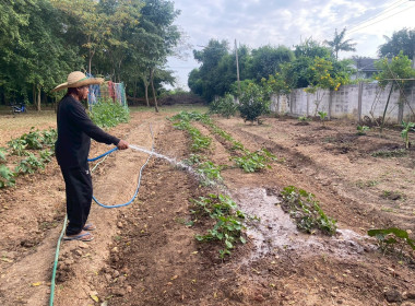 8 ธันวาคม 2568 บุคลากรศูนย์ถ่ายทอดเทคโนโลยีการสหกรณ์ที่ 13 ... พารามิเตอร์รูปภาพ 13