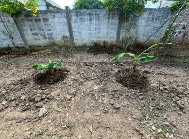 8 ธันวาคม 2568 บุคลากรศูนย์ถ่ายทอดเทคโนโลยีการสหกรณ์ที่ 13 ... พารามิเตอร์รูปภาพ 15