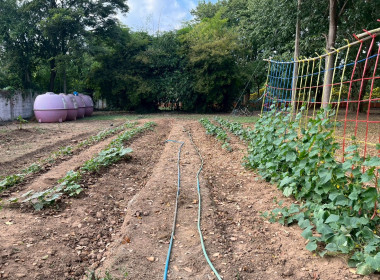 8 ธันวาคม 2568 บุคลากรศูนย์ถ่ายทอดเทคโนโลยีการสหกรณ์ที่ 13 ... พารามิเตอร์รูปภาพ 16