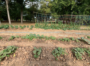 8 ธันวาคม 2568 บุคลากรศูนย์ถ่ายทอดเทคโนโลยีการสหกรณ์ที่ 13 ... พารามิเตอร์รูปภาพ 17