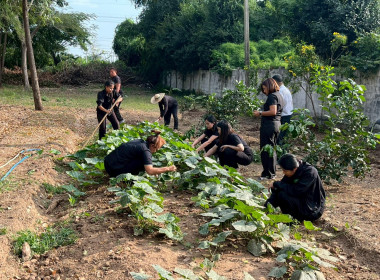 8 ธันวาคม 2568 บุคลากรศูนย์ถ่ายทอดเทคโนโลยีการสหกรณ์ที่ 13 ... พารามิเตอร์รูปภาพ 3