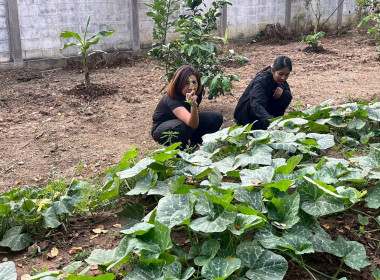 8 ธันวาคม 2568 บุคลากรศูนย์ถ่ายทอดเทคโนโลยีการสหกรณ์ที่ 13 ... พารามิเตอร์รูปภาพ 4