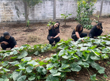 8 ธันวาคม 2568 บุคลากรศูนย์ถ่ายทอดเทคโนโลยีการสหกรณ์ที่ 13 ... พารามิเตอร์รูปภาพ 5