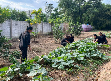 8 ธันวาคม 2568 บุคลากรศูนย์ถ่ายทอดเทคโนโลยีการสหกรณ์ที่ 13 ... พารามิเตอร์รูปภาพ 6