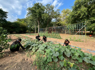 8 ธันวาคม 2568 บุคลากรศูนย์ถ่ายทอดเทคโนโลยีการสหกรณ์ที่ 13 ... พารามิเตอร์รูปภาพ 7