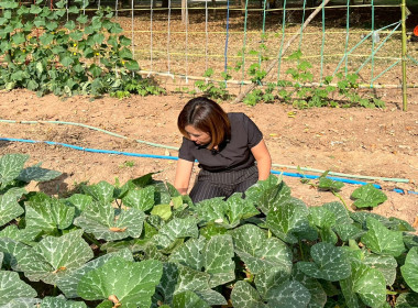 8 ธันวาคม 2568 บุคลากรศูนย์ถ่ายทอดเทคโนโลยีการสหกรณ์ที่ 13 ... พารามิเตอร์รูปภาพ 8