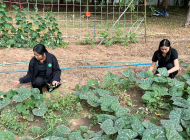 8 ธันวาคม 2568 บุคลากรศูนย์ถ่ายทอดเทคโนโลยีการสหกรณ์ที่ 13 ... พารามิเตอร์รูปภาพ 9