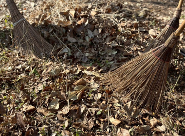 24 มกราคม 2569 นางสาวมนกรณ์ ยอดใจ ... พารามิเตอร์รูปภาพ 16