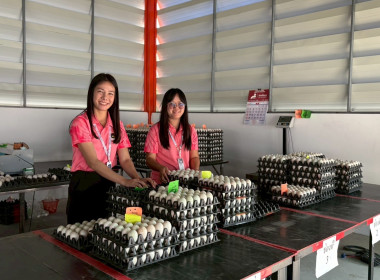 30 มกราคม 2569 บุคลากรศูนย์ถ่ายทอดเทคโนโลยีการสหกรณ์ที่ 13 ... พารามิเตอร์รูปภาพ 15