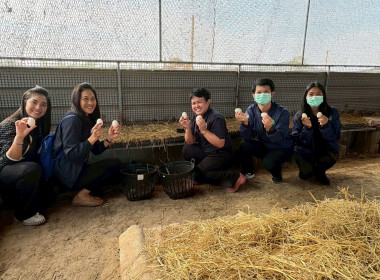 30 มกราคม 2569 บุคลากรศูนย์ถ่ายทอดเทคโนโลยีการสหกรณ์ที่ 13 ... พารามิเตอร์รูปภาพ 2