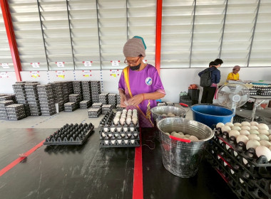 30 มกราคม 2569 บุคลากรศูนย์ถ่ายทอดเทคโนโลยีการสหกรณ์ที่ 13 ... พารามิเตอร์รูปภาพ 16