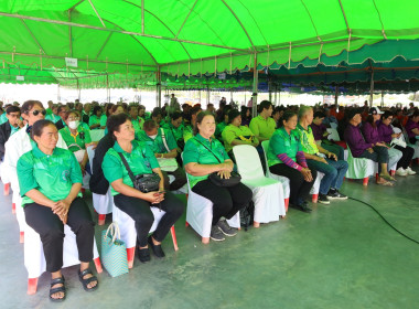 26 กุมภาพันธ์ 2569 นางสาวโชติกา ประทุม ... พารามิเตอร์รูปภาพ 12